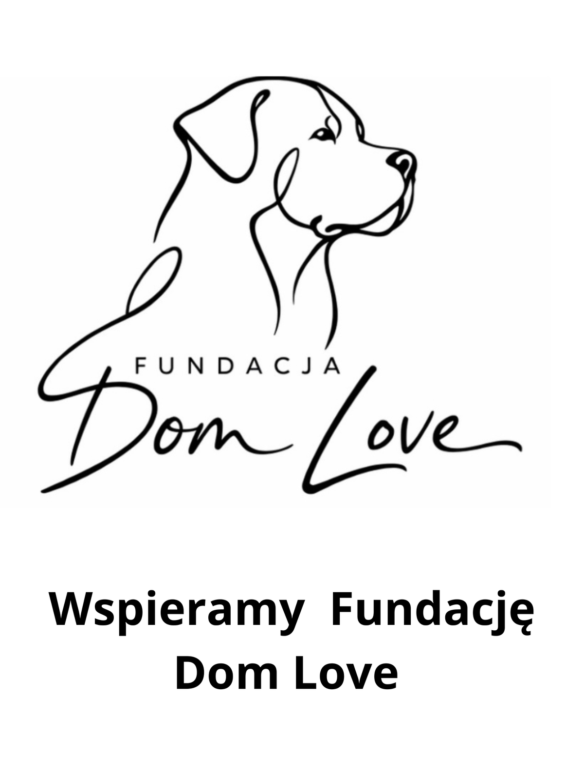 Cegiełka - wsparcie Fundacji Dom Love